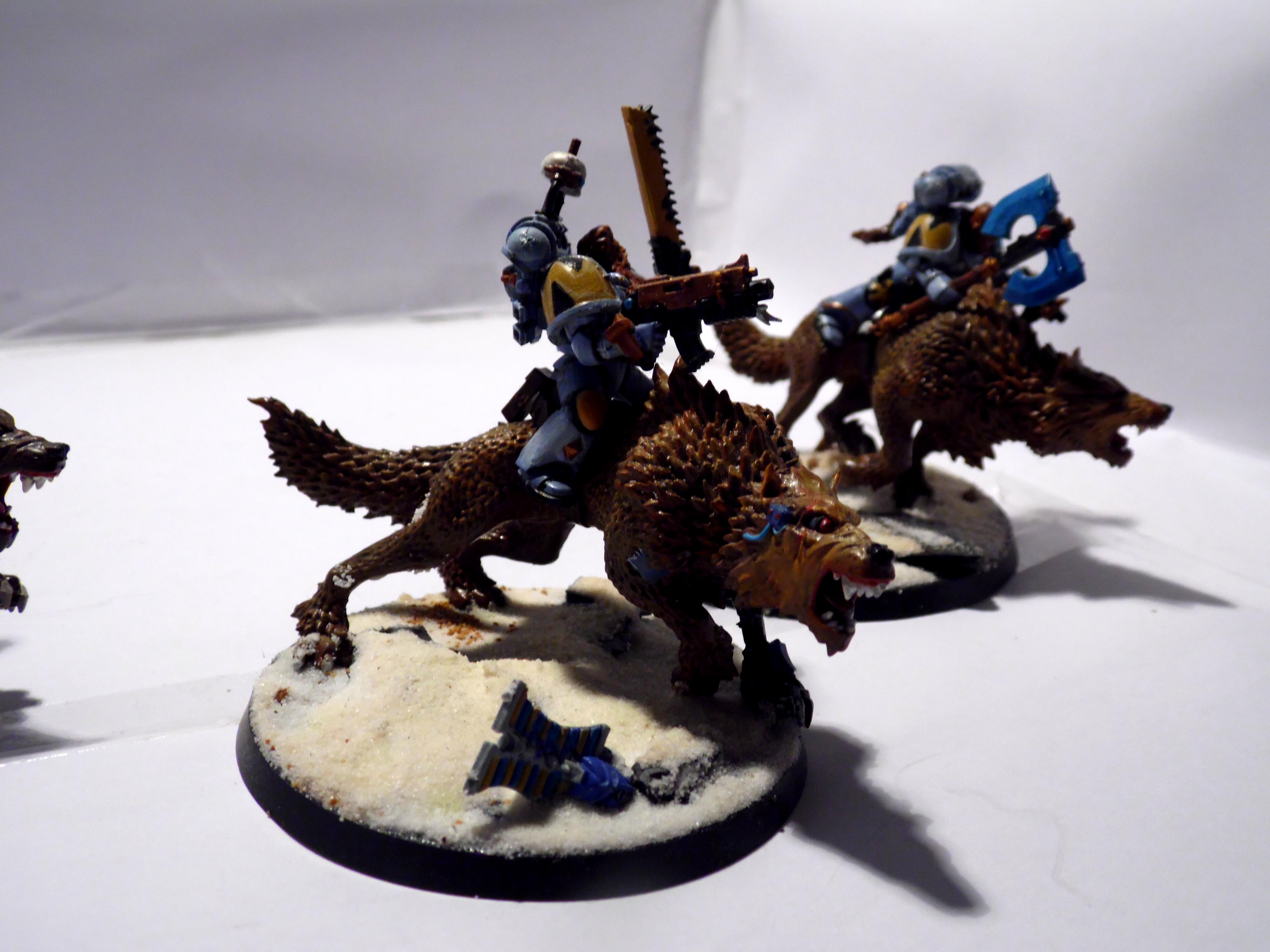 There Are No Wolves On Fenris - wolf riders - Gallery - DakkaDakka